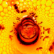 Inner Bees imatge destacada Merops 360
